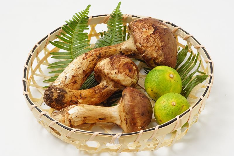 6 loại nấm phổ biến của người Nhật